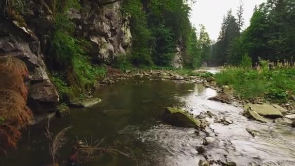 Shot bosque de montaña con río — Vídeos de Stock