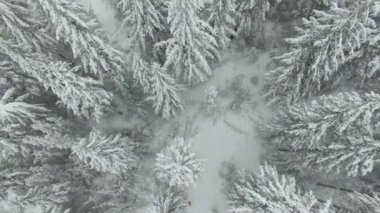 Kırmızılı kadın ile hava atış kış orman