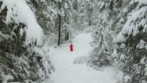 Повітряний постріл зимовий ліс з жінкою в червоному — стокове відео