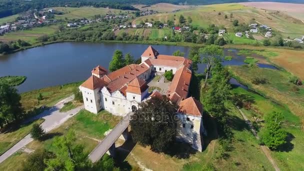 Luchtfoto shot kasteel — Stockvideo