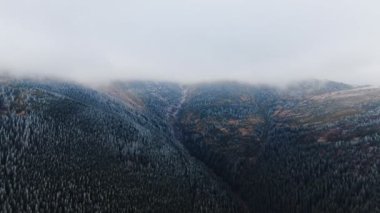 Sonbaharda ağaçlarla kaplı donmuş dağ manzarası
