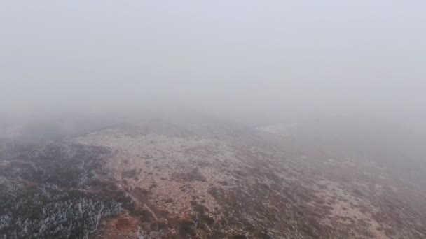 Vista Aerea Montagna Ghiacciata Con Alberi Autunno — Video Stock