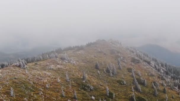 Vista Aérea Montanha Congelada Com Árvores Outono — Vídeo de Stock