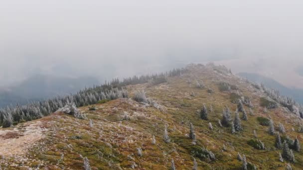 Вид Воздуха Замерзшая Гора Деревьями Осенью — стоковое видео