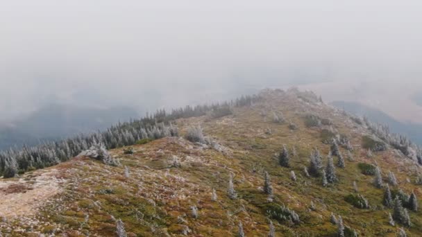 Luftaufnahme Gefrorener Berg Mit Bäumen Herbst — Stockvideo