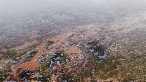 Aerial View Frozen Mountain Trees Autumn — Stock Video