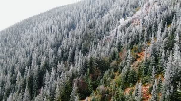 秋天的空中风景结冰了树的高山 — 图库视频影像