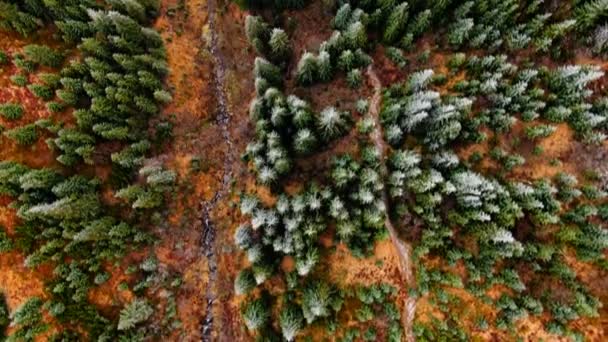 Widok Lotu Ptaka Zamarznięta Góra Drzewami Jesienią — Wideo stockowe