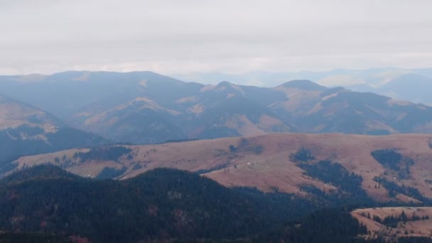 Luftaufnahme Gefrorener Berg Mit Bäumen Herbst — Stockvideo