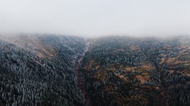 Aerial View Frozen Mountain Trees Autumn — Stock Video