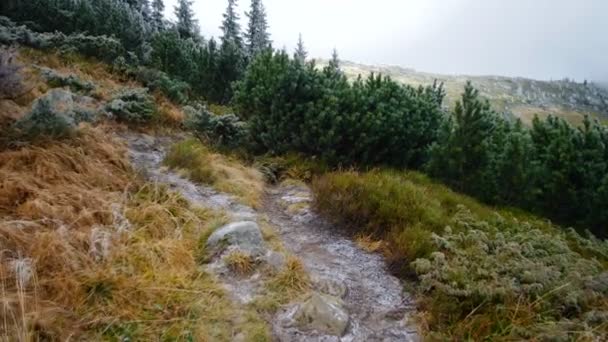 Montaña Congelada Con Árboles Otoño — Vídeo de stock