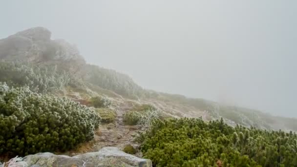 Tempo Gira Montagna Ghiacciata Con Alberi Autunno — Video Stock