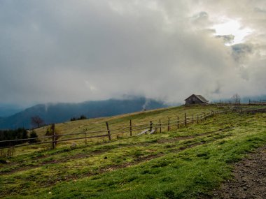 Sonbaharda ağaçlarla donan dağ