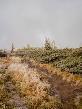 Sonbaharda ağaçlarla donan dağ