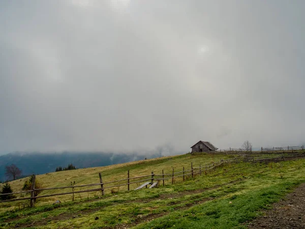 Sonbaharda ağaçlarla donan dağ