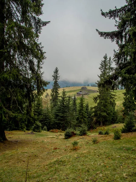 Sonbaharda ağaçlarla donan dağ