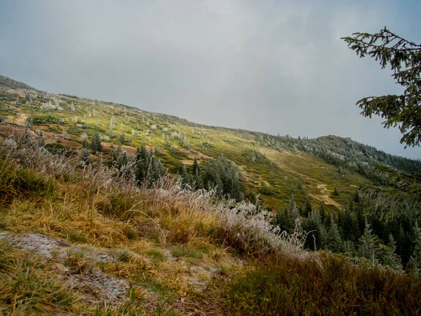 Sonbaharda ağaçlarla donan dağ