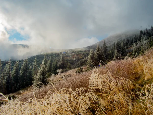 Frozen mountain with trees in autumn