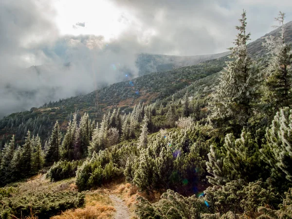 Sonbaharda ağaçlarla donan dağ