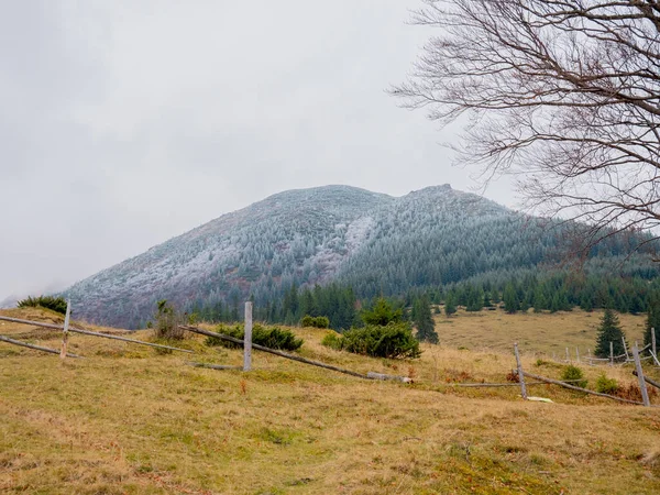 Sonbaharda ağaçlarla donan dağ