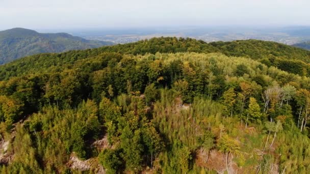 Aerial View Mountain Trees Autumn — Stock Video