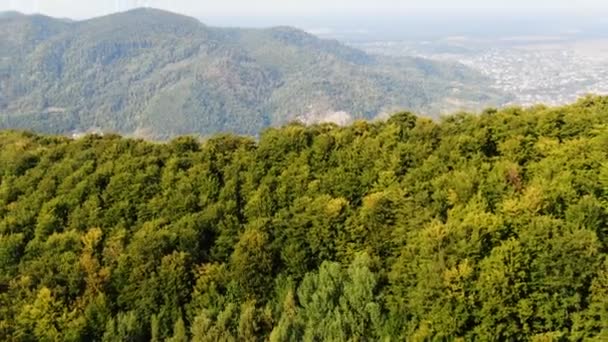 Vista Aérea Montaña Con Árboles Otoño — Vídeos de Stock