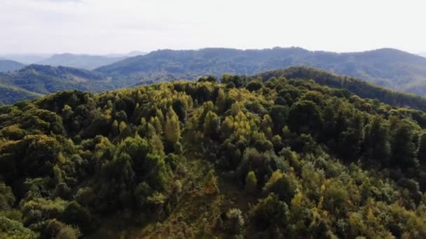 Sonbaharda Ağaçlarla Kaplı Gökyüzü Manzaralı Dağ — Stok video