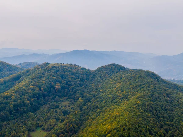 Aerial view mountain with trees in autumn