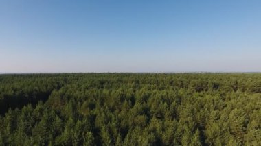 Güzel bir restoranın havadan manzarası