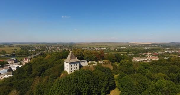 Luftaufnahme Einer Alten Burg — Stockvideo
