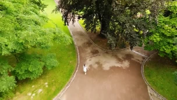 Luftaufnahme Des Stadtparks — Stockvideo