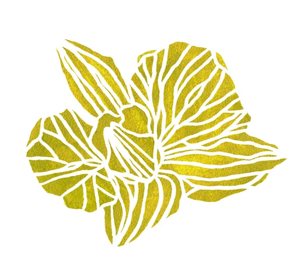 Akwarela Ilustracja Kwiat Zielony Orhid — Zdjęcie stockowe