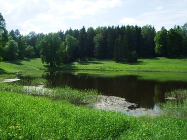 Beautiful Green Park ve orman göl yakınındaki