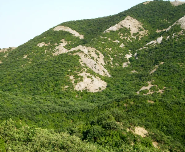 Зеленые горы и холмы, освещенные солнцем — стоковое фото