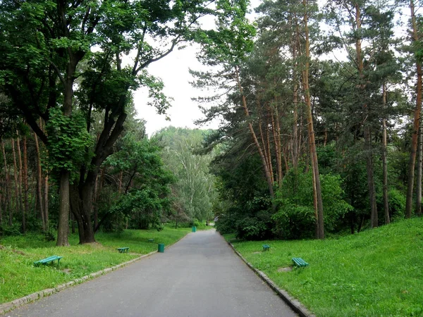 Großer grüner Park mit Bäumen und Bänken — Stockfoto
