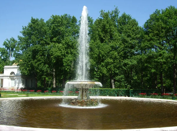 Высокий белый фонтан в парке Петергофа — стоковое фото