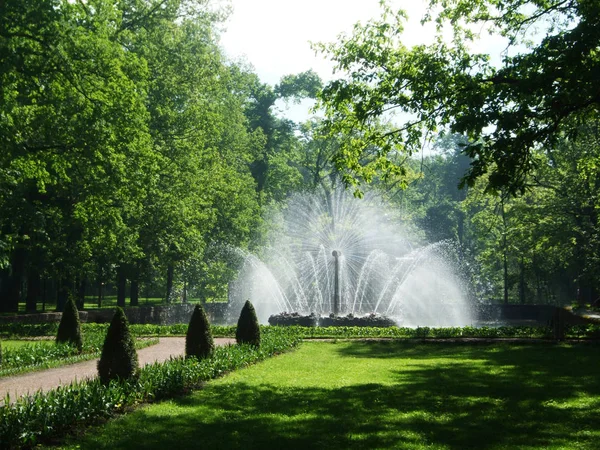 俄罗斯圣佩特堡的彼得戈夫--2013年6月12日: 彼得戈夫公园的高圆形郁郁葱葱的白色喷泉. — 图库照片