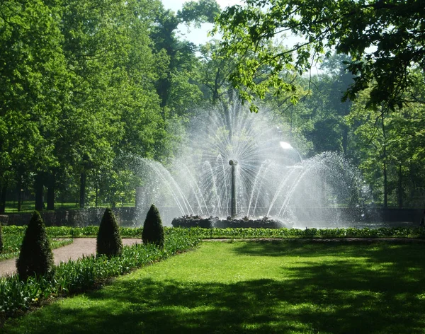 Petergof, heiliger peterburg, russland - 12. juni 2013: hoher runder weißer brunnen im park von petergof. — Stockfoto