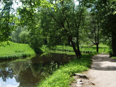 Beautiful Green Park ve orman göl yakınındaki