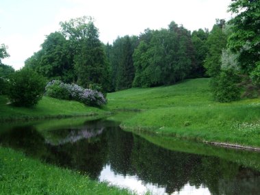 Beautiful Green Park ve orman göl yakınındaki