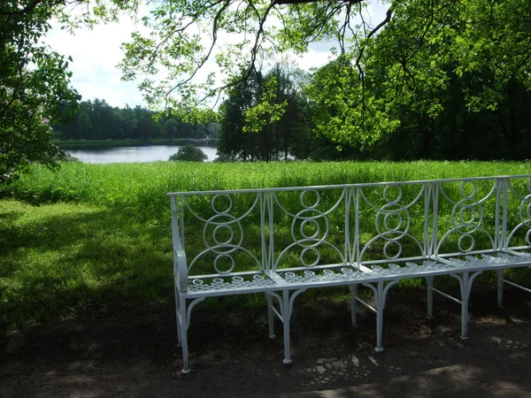 Banc blanc sous un arbre dans le jardin botanique . — Photo