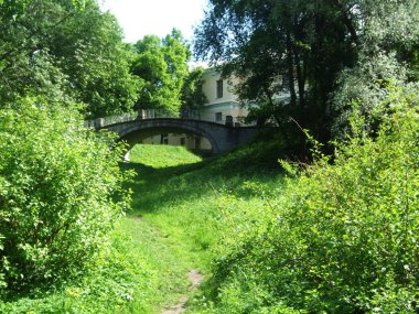 Beyaz taş Köprüsü ve ormana giden yol