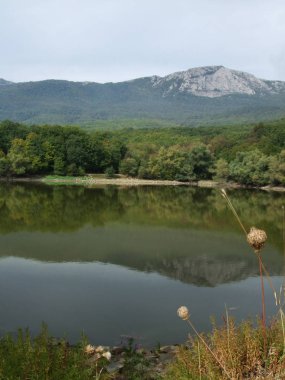 Dağ Gölü çevresindeki yeşil ışık ormanı