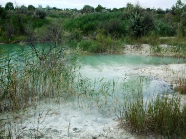 Mavi su sahile ağaçları ile sular altında.