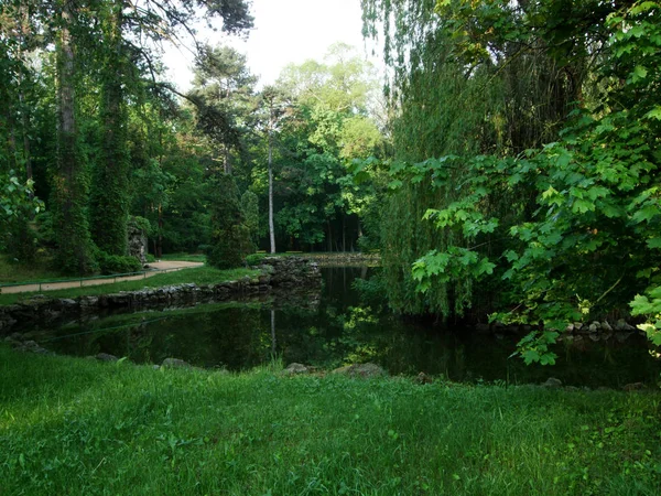 Зеленый парк и лес у озера — стоковое фото