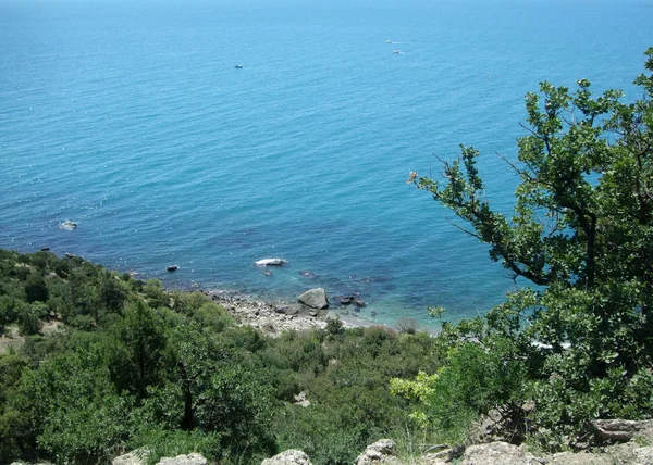 Litorale di mare con colline e alberi. Mar Nero. Crimea — Foto Stock