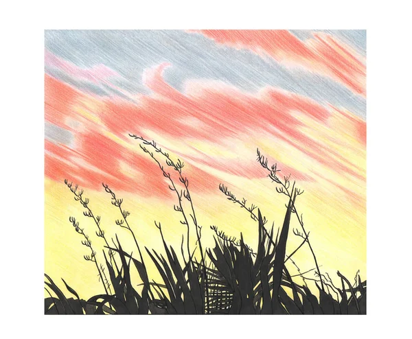 Ruční kreslení obrázek západu slunce obloha a rostliny — Stock fotografie