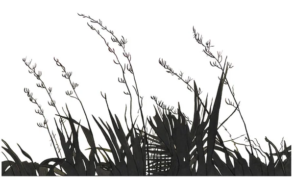 Mürekkep illüstrasyon gökyüzü günbatımı ve bitkiler ile çizim — Stok fotoğraf