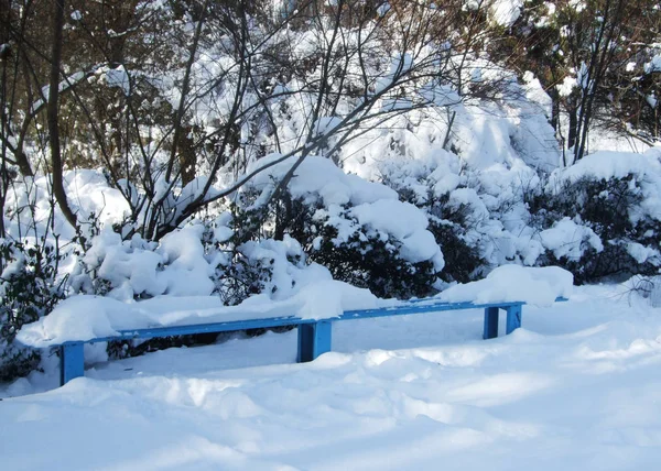 Hiver et branche de neige parmi le banc de fer du parc — Photo