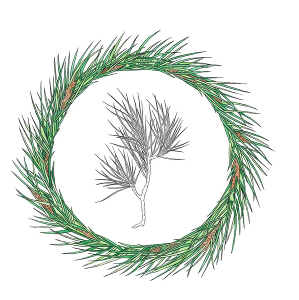 Akvarel Vánoční věnec s borovicovou větví. Novoroční ilustrace. Rekreační design. — Stock fotografie